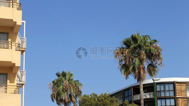 北京冬令营价格解析：如何规避性价比陷阱